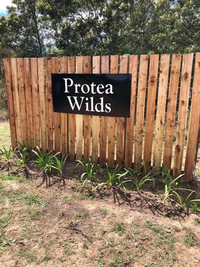 מלון Harkerville Protea Wilds Retreat מראה חיצוני תמונה