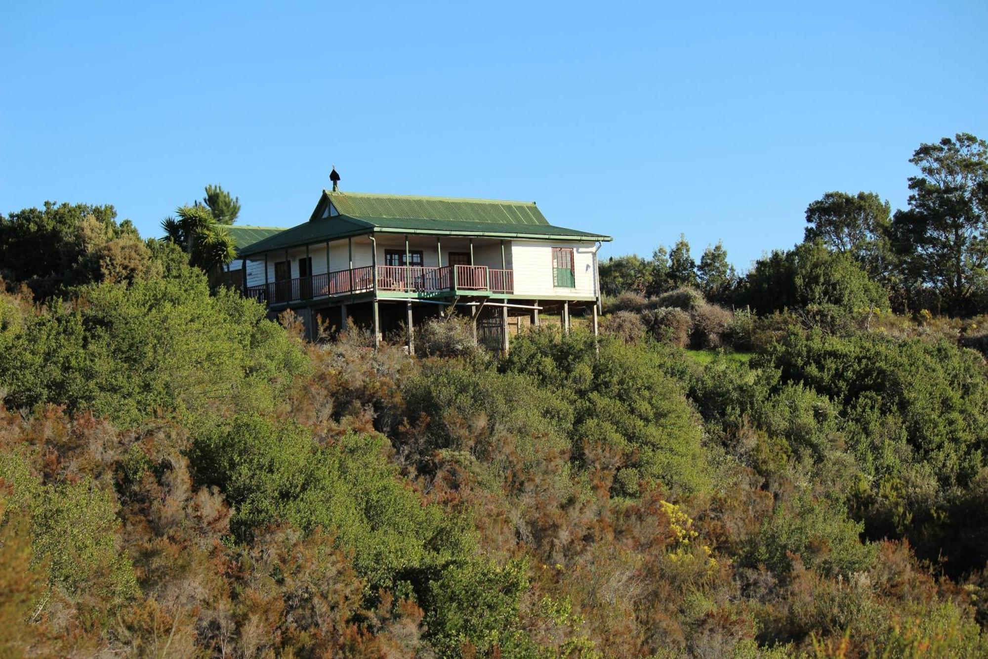 מלון Harkerville Protea Wilds Retreat מראה חיצוני תמונה